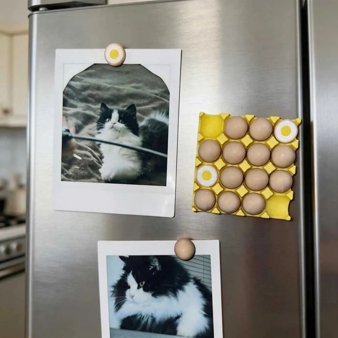 MemoEgg - Magnetic Note & Photo Holder